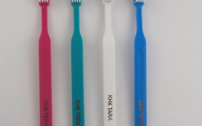 Oral care nylon bristle toothbrush