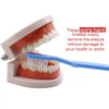 272toothbrush 03 jpg