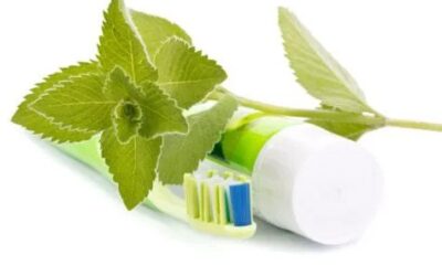 Are Herbal Toothpastes good for your health?