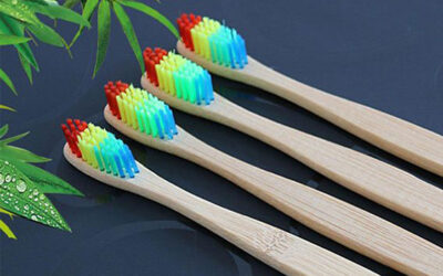 Why do you buy a bamboo toothbrush?