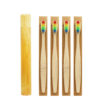 Rainbow Bristles Bamboo Toothbrush