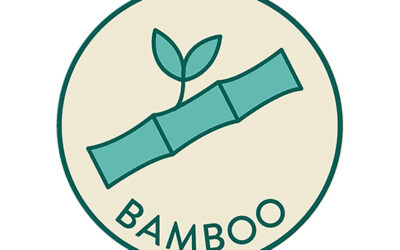 Used a bamboo toothbrush before? Upon using, be aware of the advantages, dos, and don’ts.