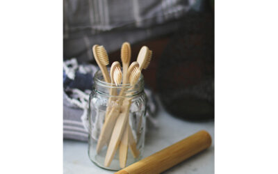 Why Should You Buy Bamboo Toothbrushes for Your Business? 